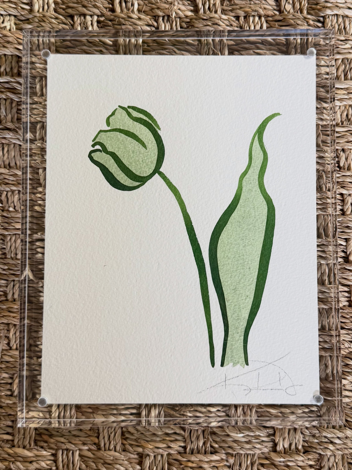 9x7 - Green Tulip - Kayce Hughes